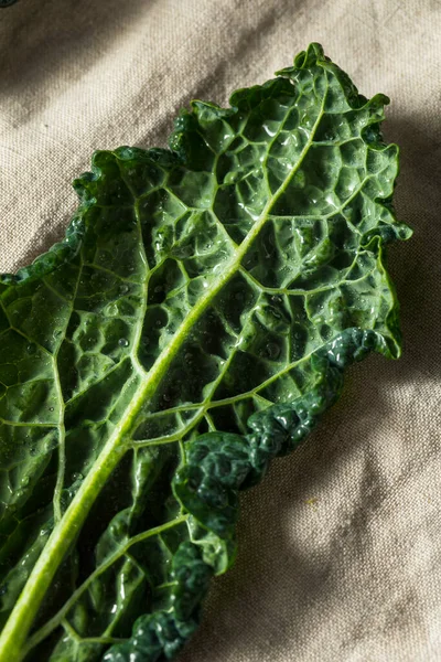 Çiğ Yeşil Organik Toskana Dinozor Kalesi