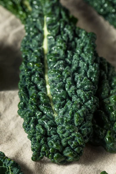 Çiğ Yeşil Organik Toskana Dinozor Kalesi