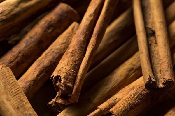 Dry Organic Ceylon Cinnamon Sticks Bunch — Stock Photo, Image