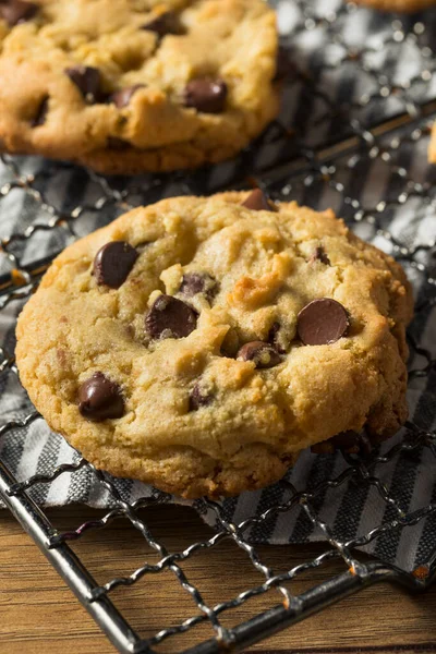 Házi Készítésű Meleg Csokoládé Chip Cookie Kész Enni — Stock Fotó