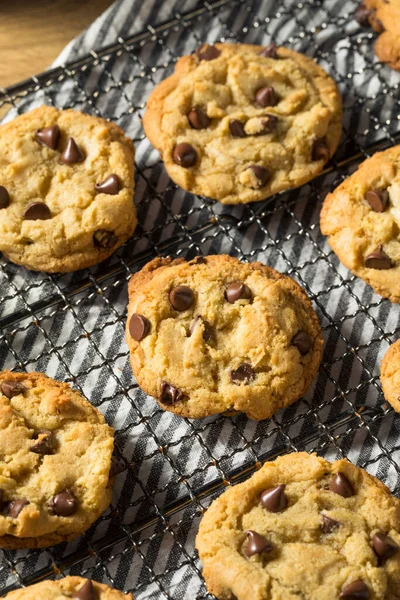 Galletas Caseras Calientes Del Microprocesador Del Chocolate Listas Para Comer — Foto de Stock