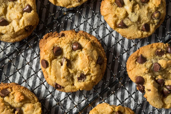 Homemade Warm Chocolate Chip Cookies Ready Eat — Stock Photo, Image