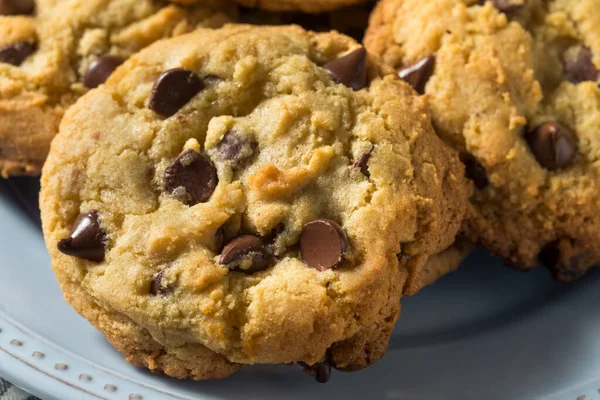 Galletas Caseras Calientes Del Microprocesador Del Chocolate Listas Para Comer — Foto de Stock