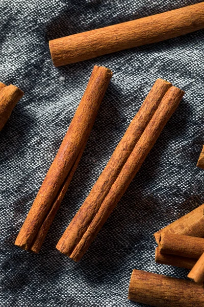 stock image Raw Organic Cassia Cinnamon Sticks in a Bunch