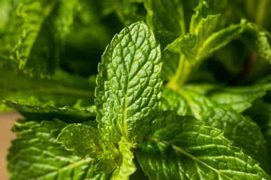 Çiğ Yeşil Organik Nane Şekeri