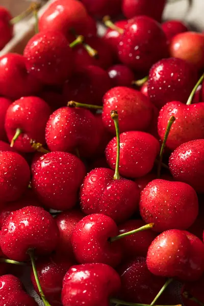 Rohe Rote Bio Kirschen Verzehrfertig — Stockfoto