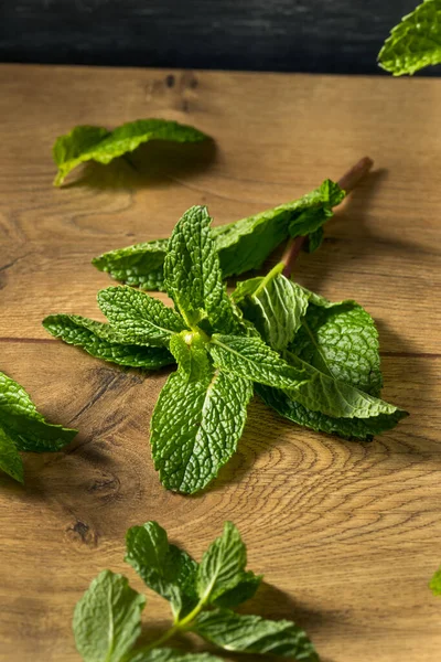 Raw Green Organic Fresh Mint Bunch — Stock fotografie