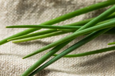 Çiğ yeşil organik taze soğanlar ile pişirmeye hazır.