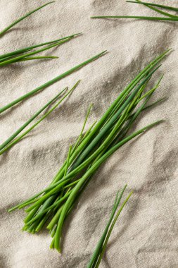 Çiğ yeşil organik taze soğanlar ile pişirmeye hazır.