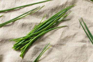 Çiğ yeşil organik taze soğanlar ile pişirmeye hazır.