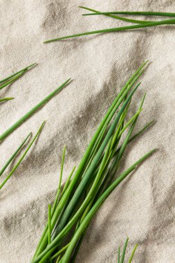 Çiğ yeşil organik taze soğanlar ile pişirmeye hazır.