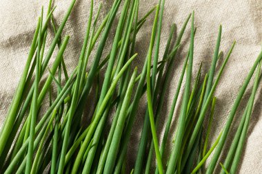 Çiğ yeşil organik taze soğanlar ile pişirmeye hazır.