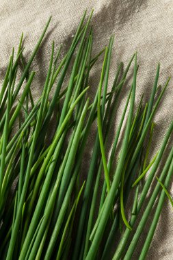 Çiğ yeşil organik taze soğanlar ile pişirmeye hazır.