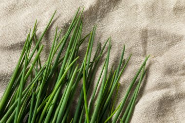 Çiğ yeşil organik taze soğanlar ile pişirmeye hazır.