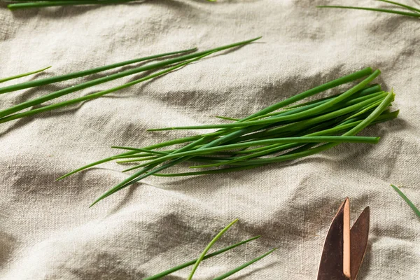 Chives Frescas Orgánicas Verdes Crudas Listas Para Cocinar Con —  Fotos de Stock