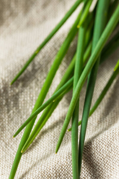 Raw Green Organic Fresh Chives Ready to Cook With