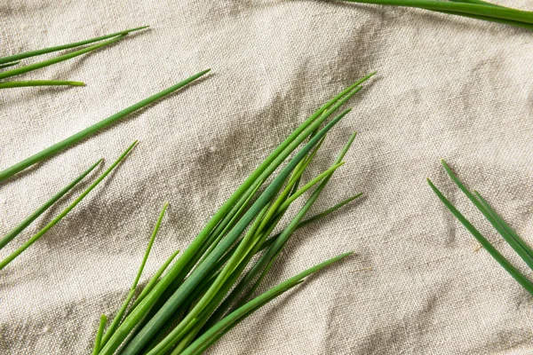Raw Green Organic Fresh Chives Ready Cook — Stock Photo, Image