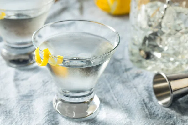 Chlastací Osvěžující Gin Martini Citrónovou Ozdobou — Stock fotografie