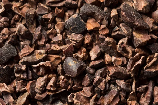 Raw Brown Biologische Chocolade Cocao Nibs Een Schaal — Stockfoto