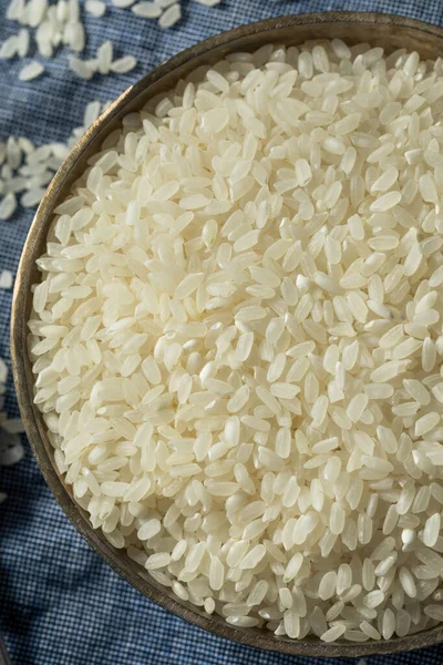 Raw Dry Organic Short Grain White Rice Skål — Stockfoto