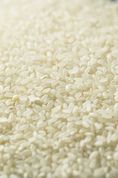 Raw Dry Organic Short Grain White Rice Bowl — Stock Photo, Image