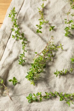 Bir demet çiğ yeşil organik kekik bitkisi