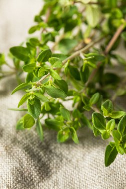 Bir demet çiğ yeşil organik kekik bitkisi