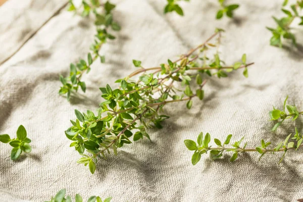 Raw Green Organic Thyme Herb — 스톡 사진