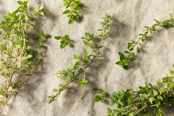 Raw Green Organic Thyme Herb — 스톡 사진