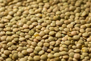 Kuru yeşil organik mercimek kasede Pişirmeye hazır