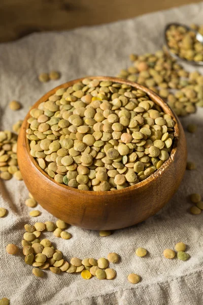 Dry Green Organic Lentils Bowl Ready Cook — Stock Photo, Image
