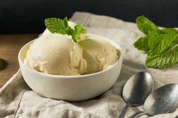 Homemade Frozen Vanilla Ice Cream Bowl — 스톡 사진
