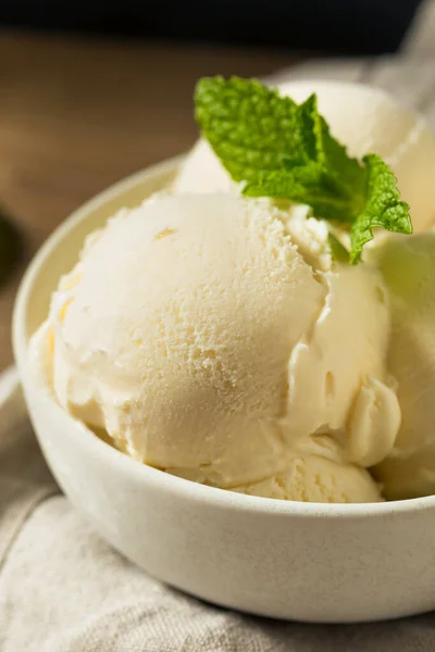 Homemade Frozen Vanilla Ice Cream in a Bowl