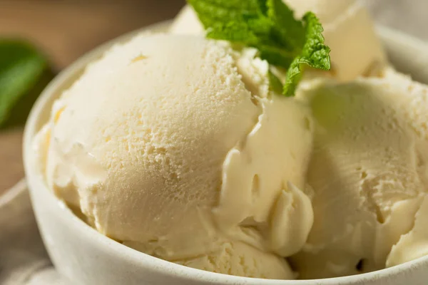 Crème Glacée Vanille Congelée Maison Dans Bol — Photo