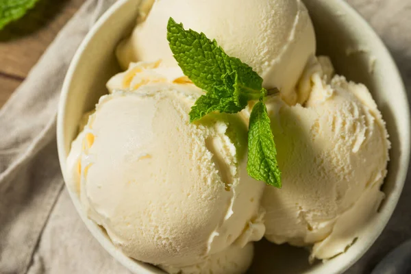 Helado Vainilla Congelado Casero Tazón — Foto de Stock