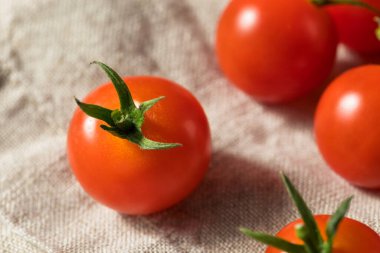 Çiğ kırmızı organik vişneli domatesler asmada