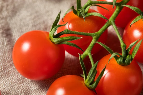 Raw Red Organic Cherry Tomatos Vine — Stock fotografie