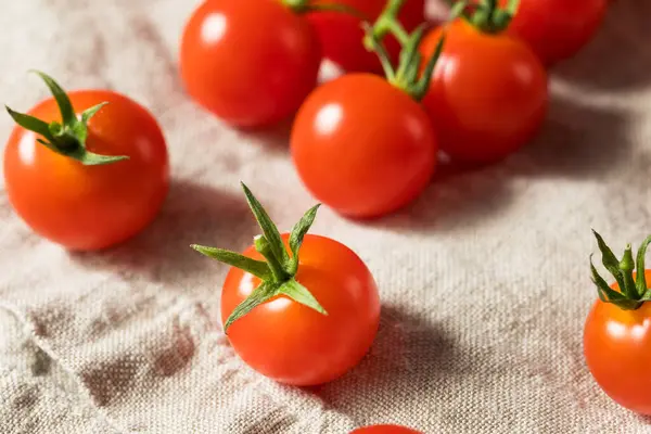 Rohe Rote Bio Kirschtomaten Weinstock — Stockfoto