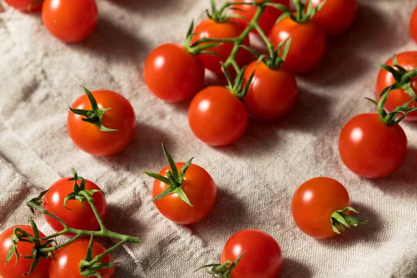 Tomates Rojos Crudos Cereza Ecológicos Vid — Foto de Stock