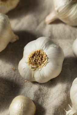 Çiğ, organik sarımsak soğanları pişmeye hazır.