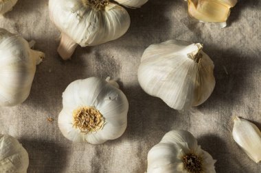 Çiğ, organik sarımsak soğanları pişmeye hazır.