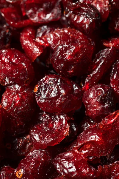 Raw Red Organic Gedroogde Bosbessen Een Schaal — Stockfoto