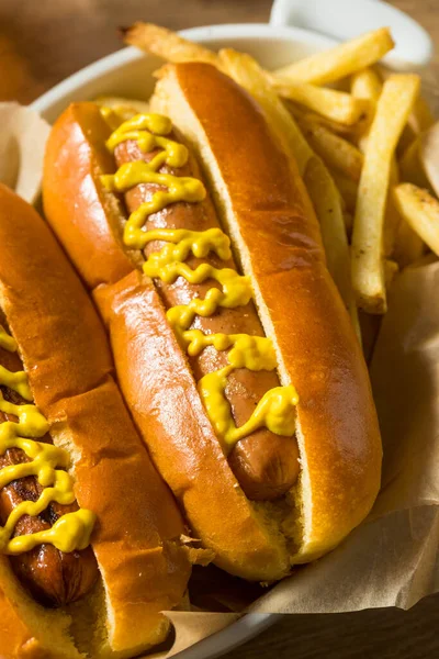 Zelfgemaakte Hotdog Met Mosterd Friet — Stockfoto