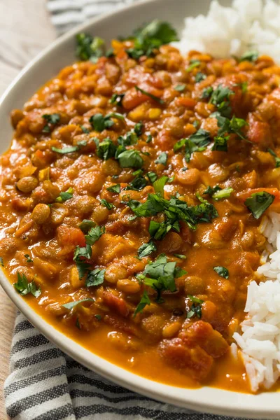 Házi Készítésű Fűszeres Indiai Curry Lencse Rizzsel Cilantróval — Stock Fotó