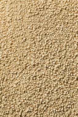 Kuru Organik Aktif Kuru Maya Kasesinde