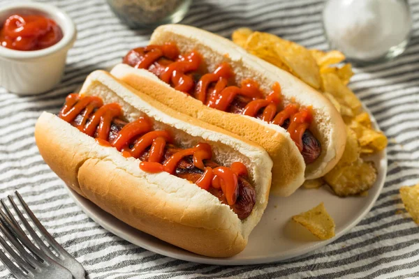 Hot Dog Americano Com Ketchup Com Batatas Fritas — Fotografia de Stock