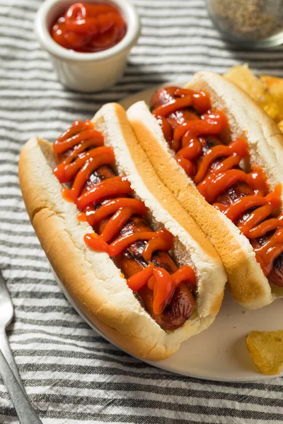 Amerikai Hot Dog Ketchuppal Burgonyaszirmokkal — Stock Fotó