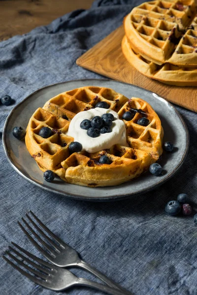 Homemade Warm Blueberry Belgian Waffles Whipped Cream — Stock Photo, Image