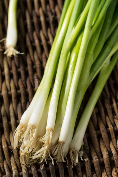 Raw Organic Green Onions Ready Chop — Stock Photo, Image