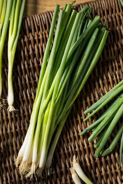 Cebollas Verdes Orgánicas Crudas Listas Para Picar — Foto de Stock